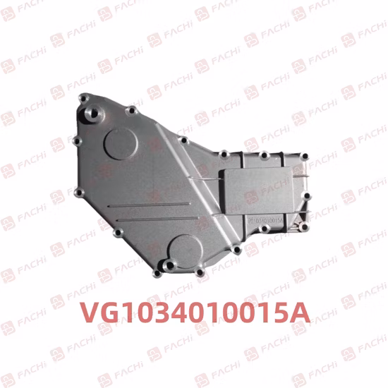 Sinotruk HOWO Sitrak Steyr Haohan AC16/Shacman Delong/FAW Jiefang/Saic Hongyan/Foton Auman/Benz/Beiben/Volvo/Ford/Ud/JAC/Dongfeng/Camc LKW Teile
